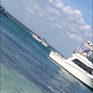 Meet your Posher, Bertha